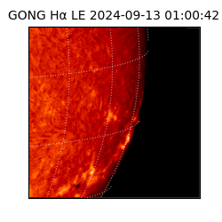 gong - 2024-09-13T01:00:42