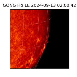 gong - 2024-09-13T02:00:42