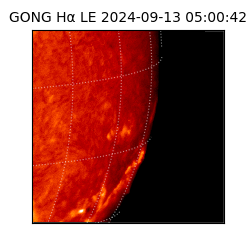 gong - 2024-09-13T05:00:42