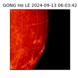 gong - 2024-09-13T06:03:42