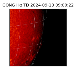 gong - 2024-09-13T09:00:22