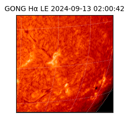 gong - 2024-09-13T02:00:42