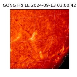 gong - 2024-09-13T03:00:42