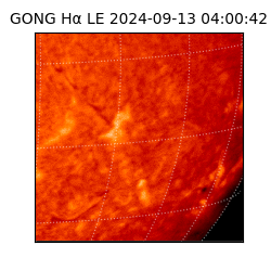 gong - 2024-09-13T04:00:42