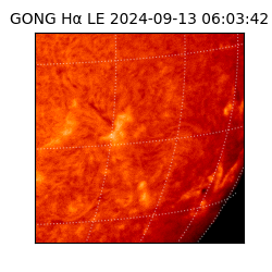 gong - 2024-09-13T06:03:42