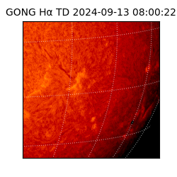 gong - 2024-09-13T08:00:22