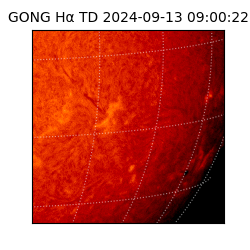 gong - 2024-09-13T09:00:22