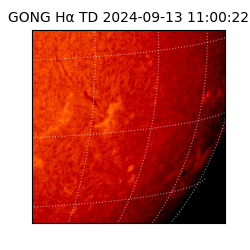 gong - 2024-09-13T11:00:22