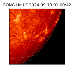 gong - 2024-09-13T01:00:42