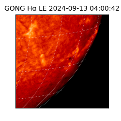 gong - 2024-09-13T04:00:42