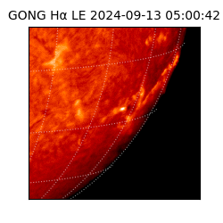 gong - 2024-09-13T05:00:42