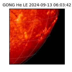 gong - 2024-09-13T06:03:42