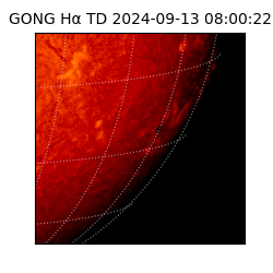 gong - 2024-09-13T08:00:22