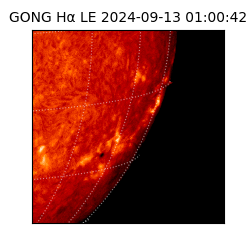 gong - 2024-09-13T01:00:42