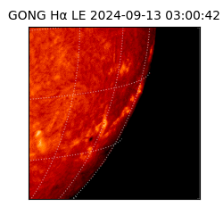 gong - 2024-09-13T03:00:42