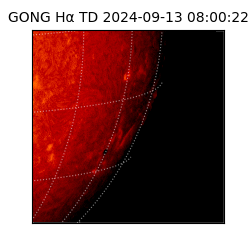 gong - 2024-09-13T08:00:22