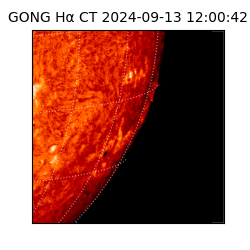 gong - 2024-09-13T12:00:42