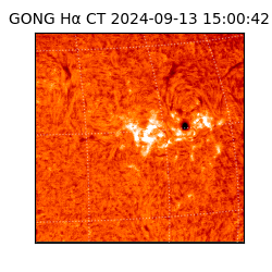 gong - 2024-09-13T15:00:42