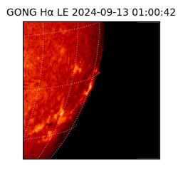 gong - 2024-09-13T01:00:42