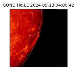 gong - 2024-09-13T04:00:42