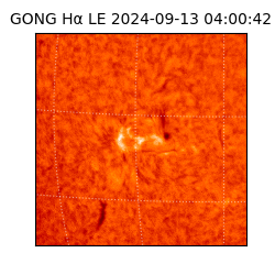 gong - 2024-09-13T04:00:42