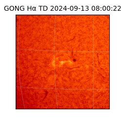 gong - 2024-09-13T08:00:22