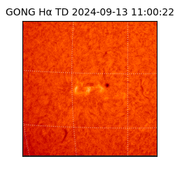 gong - 2024-09-13T11:00:22