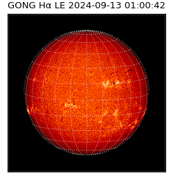 gong - 2024-09-13T01:00:42