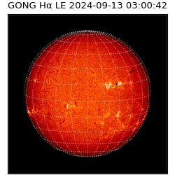 gong - 2024-09-13T03:00:42