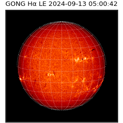 gong - 2024-09-13T05:00:42