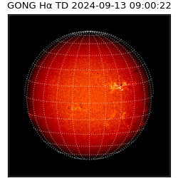 gong - 2024-09-13T09:00:22