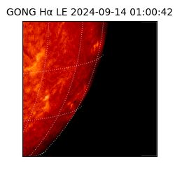 gong - 2024-09-14T01:00:42