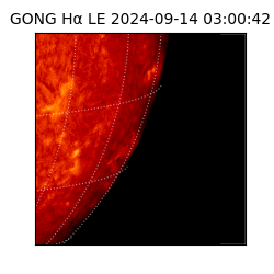 gong - 2024-09-14T03:00:42