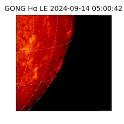 gong - 2024-09-14T05:00:42
