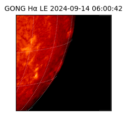 gong - 2024-09-14T06:00:42