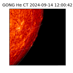 gong - 2024-09-14T12:00:42