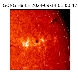 gong - 2024-09-14T01:00:42