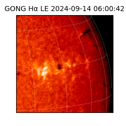 gong - 2024-09-14T06:00:42