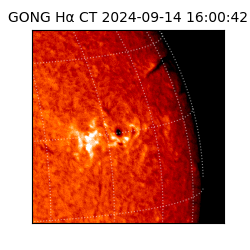 gong - 2024-09-14T16:00:42