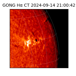 gong - 2024-09-14T21:00:42