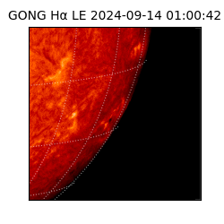 gong - 2024-09-14T01:00:42
