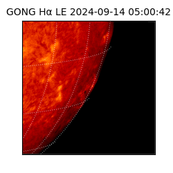 gong - 2024-09-14T05:00:42