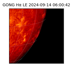 gong - 2024-09-14T06:00:42