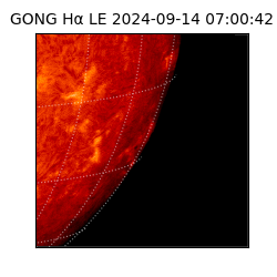 gong - 2024-09-14T07:00:42