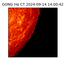 gong - 2024-09-14T14:00:42