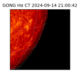 gong - 2024-09-14T21:00:42