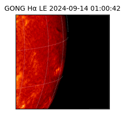 gong - 2024-09-14T01:00:42