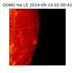 gong - 2024-09-14T02:00:42