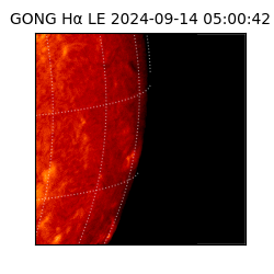 gong - 2024-09-14T05:00:42