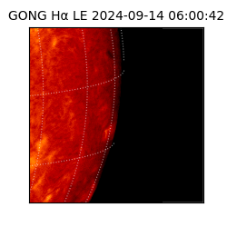 gong - 2024-09-14T06:00:42